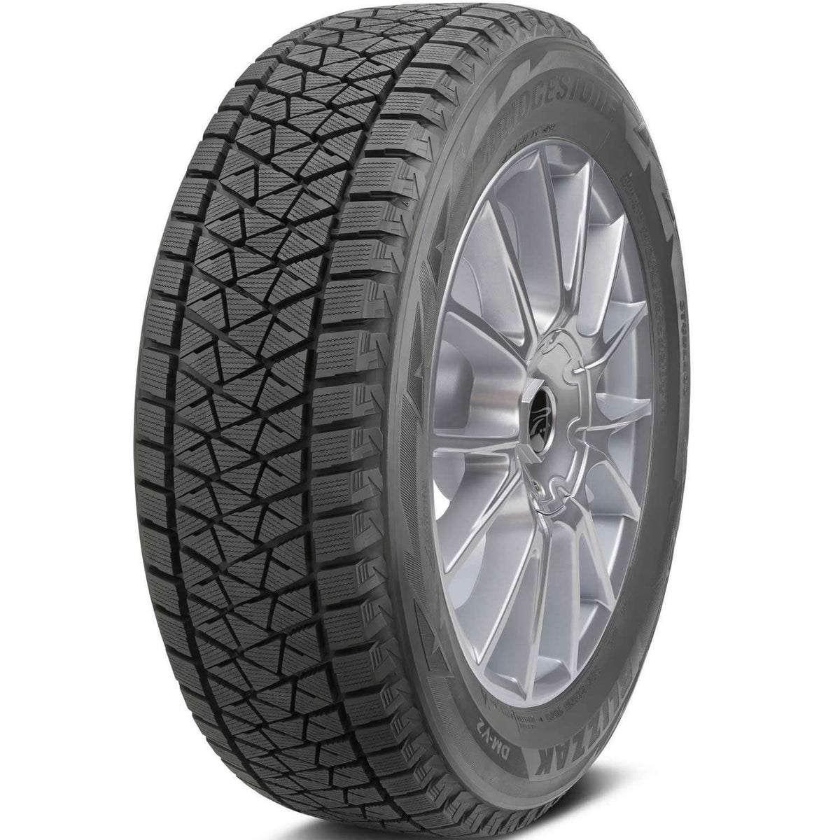 Bridgestone Blizzak DM-V2
