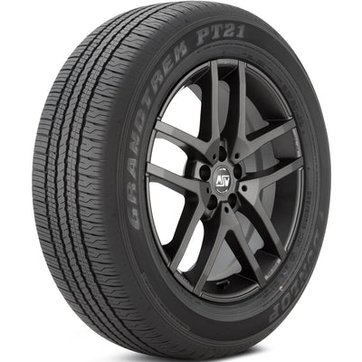 Dunlop Grandtrek PT21 Tire
