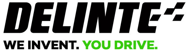 Delinte logo