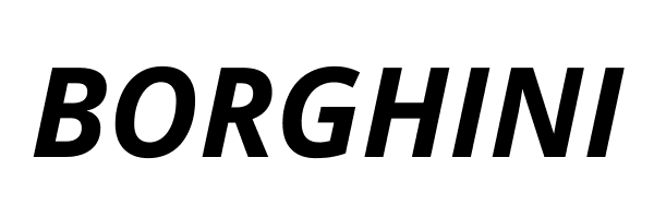 Borghini logo