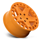 Victor Equipment Alpen 17x8 +10 Gloss Orange