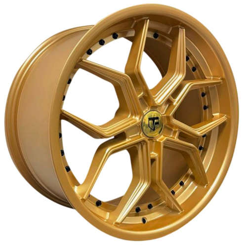 Truform TF-107 Gold with Black Rivets