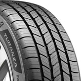 Bridgestone Turanza Everdrive Tire