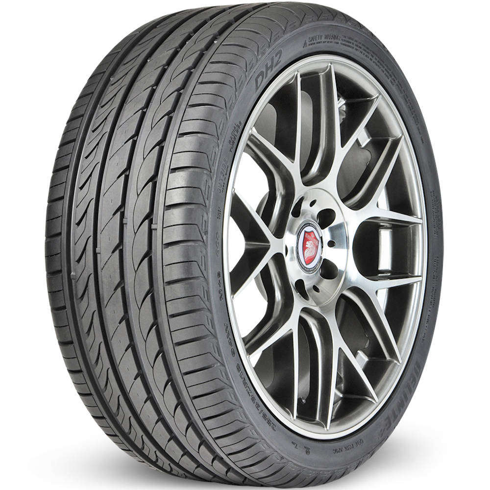 Delinte DH2