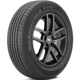 Dunlop Grandtrek PT21 Tire