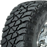 Kelly Safari TSR