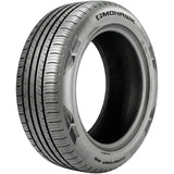 Mohawk Aegis Comfort AS Tire