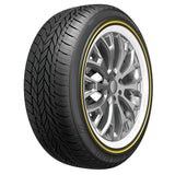 Vogue Custom Built Radial White and Gold Stripe Tire